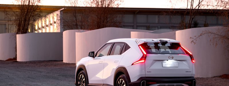 Not just a ‘Temu Lexus’